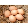 COUNTRY EGG 6nos