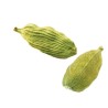 CARDAMOM  10gm