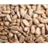 SUNFLOWER SEED  50gm