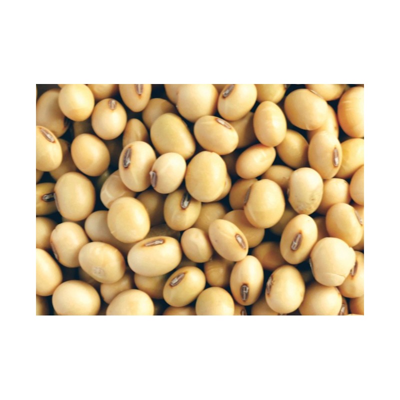 SOYA 250gm