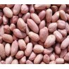 GROUNDNUT 250gm