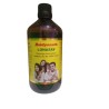 BAIDYANATH LOHASAV  450 ML