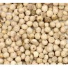 WHITE PEPPER 25gm