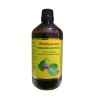 BAIDYANATH PUNARNAWARISTA 450 ML