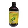 BAIDYANATH KADHIRARISTA 450 ML