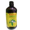 BAIDYANATH KANKASAV 450 ML
